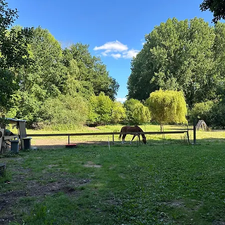 Campingplatz Clairiere De 3000m2 En Pleine Foret