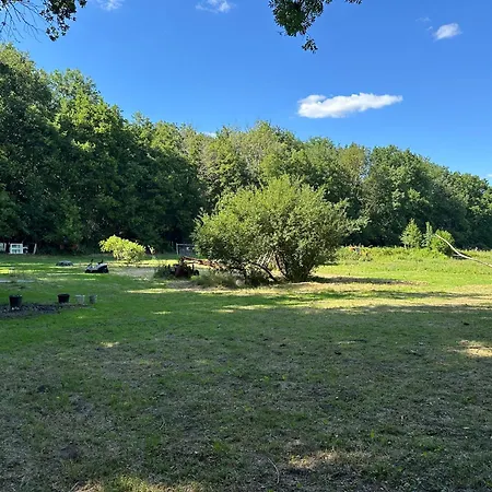 Clairiere De 3000m2 En Pleine Foret Campingplatz Luzarches