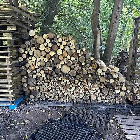 Clairiere De 3000m2 En Pleine Foret * 뤼자르슈